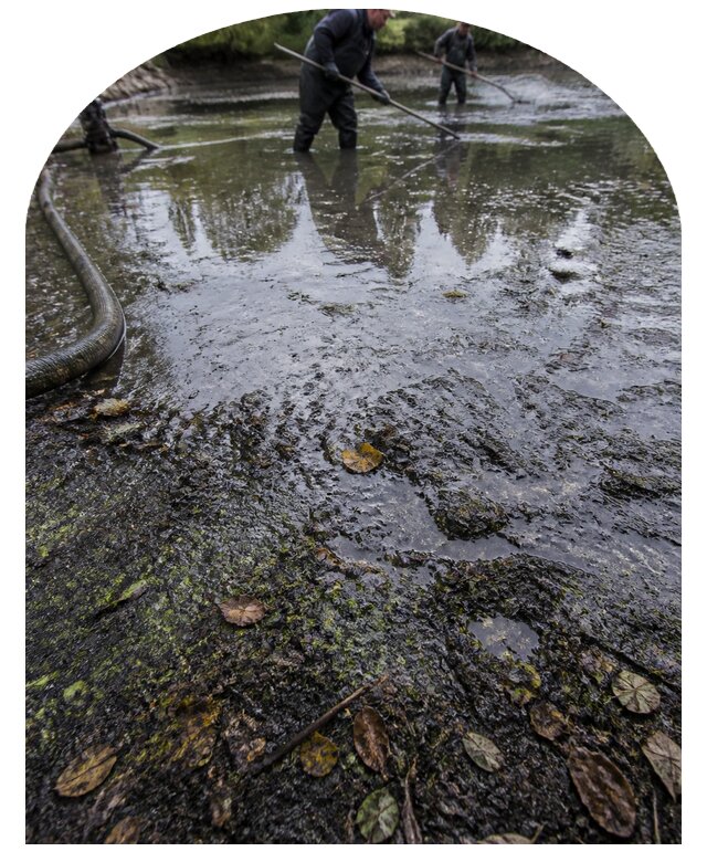 Очистка пруда в Устях-Джегуте от ила мусора и водорослей с вывозом